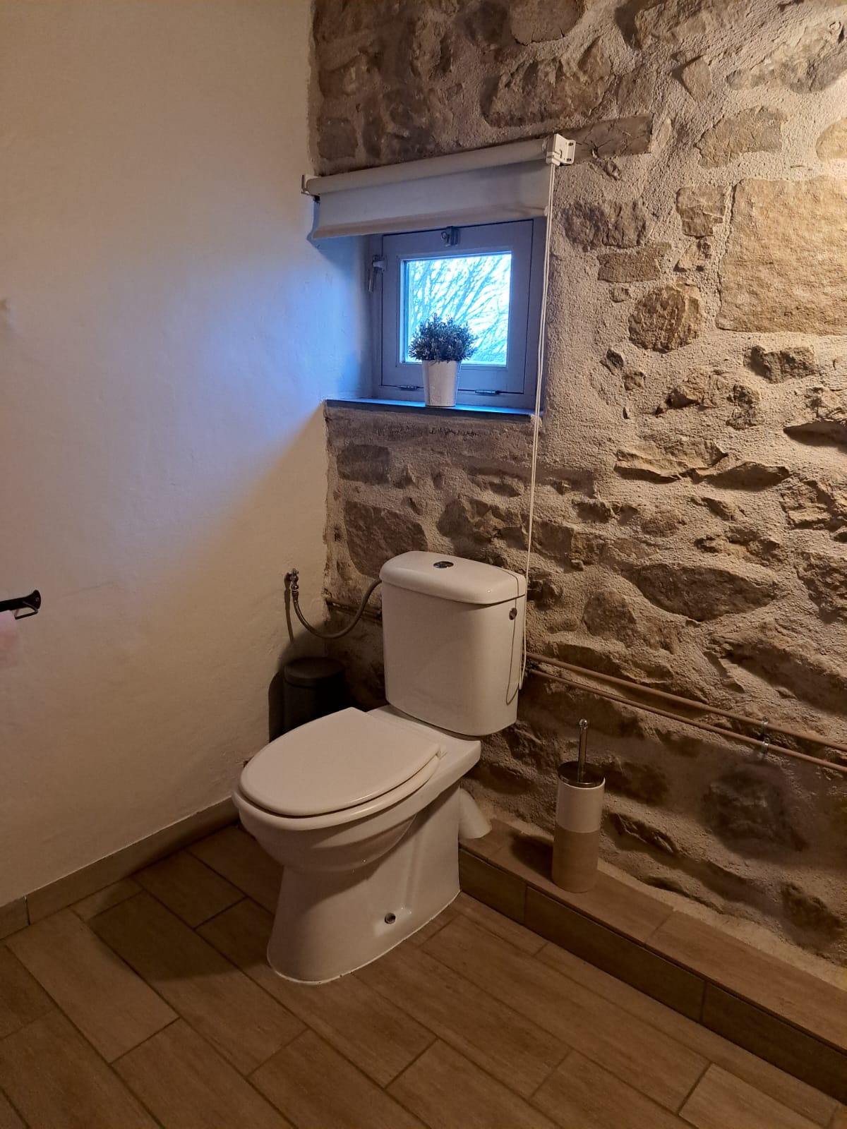 Apart toilet